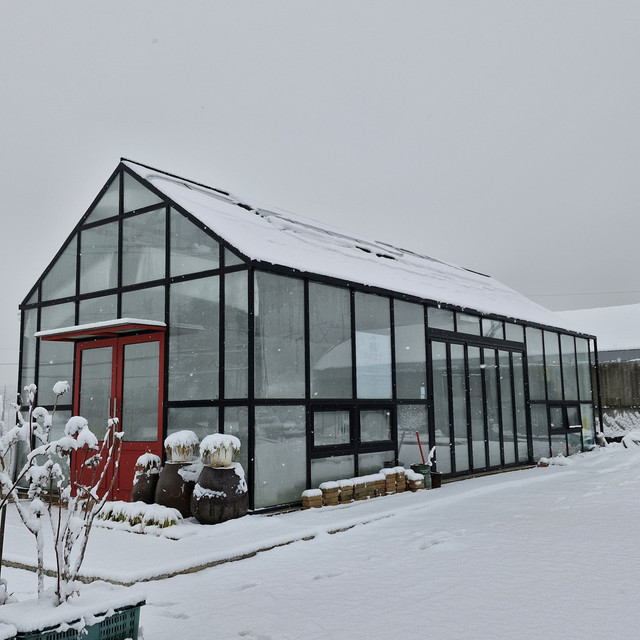 서천 별꽃농장 잊지 못할 추억을 위한 방문 팁 총정리